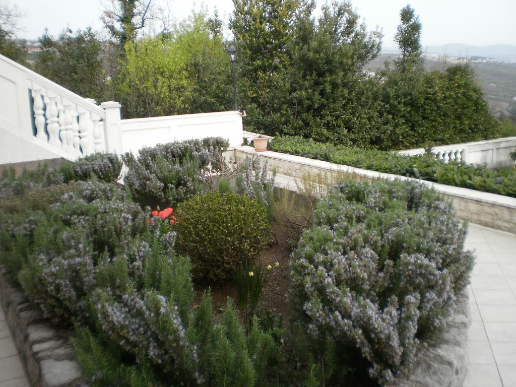 Apartment Antonio