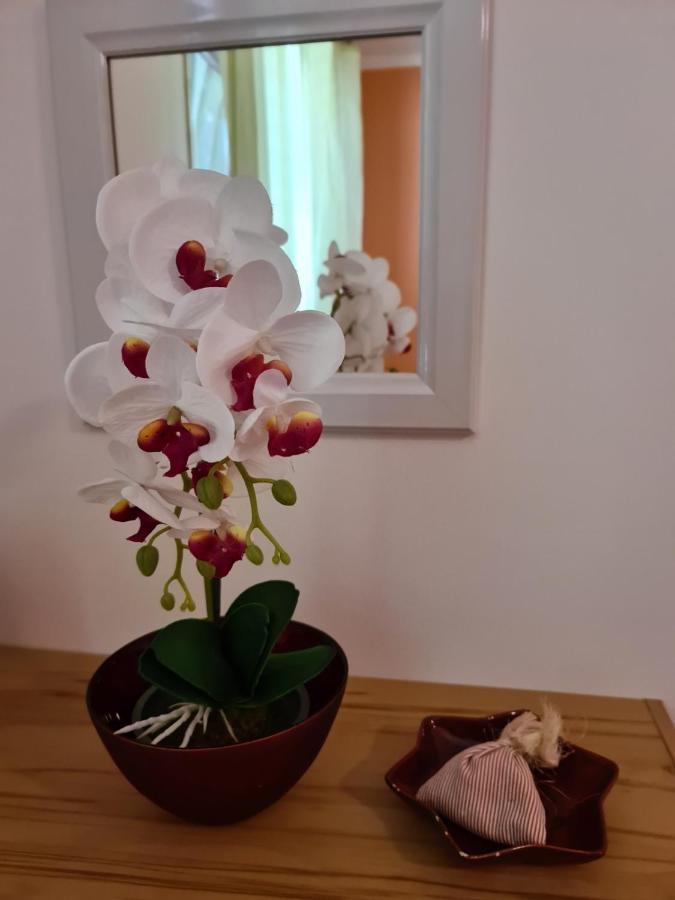 Apartment Antonio Opatija